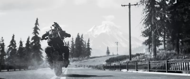 PC游戏《往日不再 Days Gone》中文版下载 v20250722-switch520