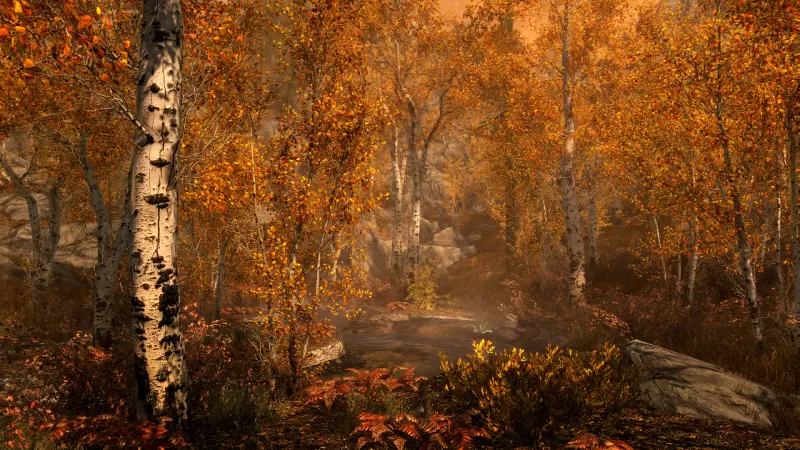 PC游戏《上古卷轴5：周年纪念版 上古卷轴5：天际10周年重制版 The Elder Scrolls V: Skyrim Special Edition》中文版下载 v1.6.1170.0.8-switch游戏下载社区