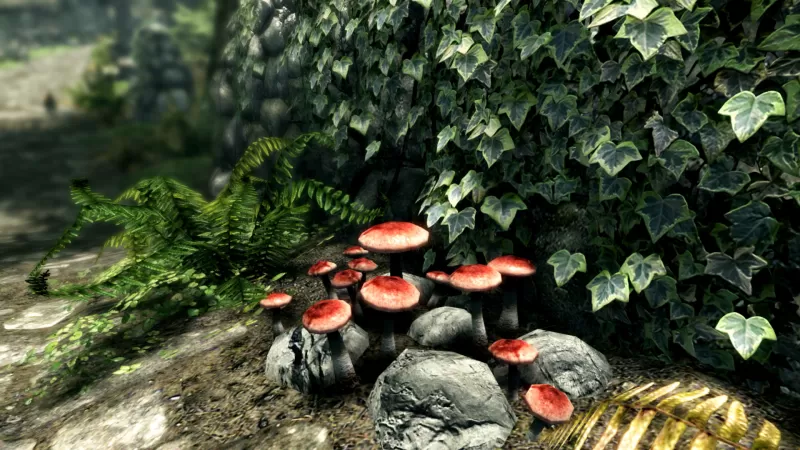 PC游戏《上古卷轴5：周年纪念版 上古卷轴5：天际10周年重制版 The Elder Scrolls V: Skyrim Special Edition》中文版下载 v1.6.1170.0.8-switch游戏下载社区