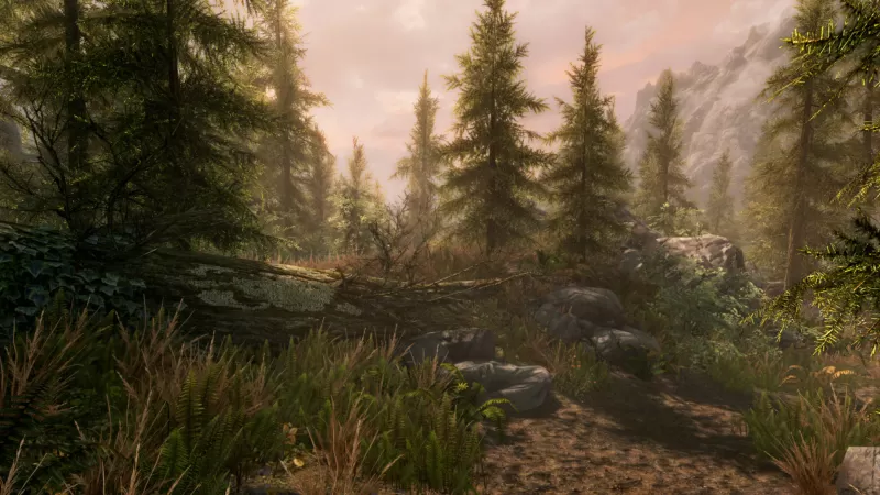 PC游戏《上古卷轴5：周年纪念版 上古卷轴5：天际10周年重制版 The Elder Scrolls V: Skyrim Special Edition》中文版下载 v1.6.1170.0.8-switch游戏下载社区