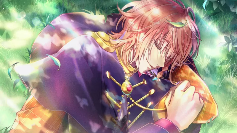 switch游戏《米斯托尼亚的翅望 Mistonia’s Hope -The Lost Delight》英文美版xci下载 v1.0.0-switch游戏下载社区