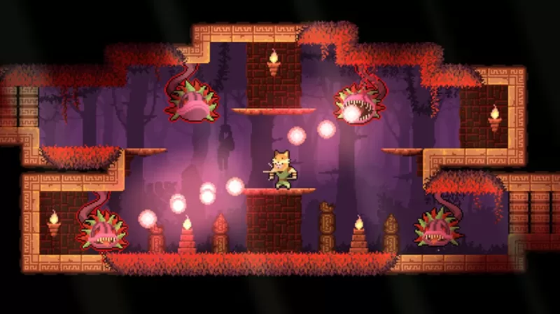 switch游戏《护林猿神 Dunjungle》中文美版xci下载 v0.99-switch520