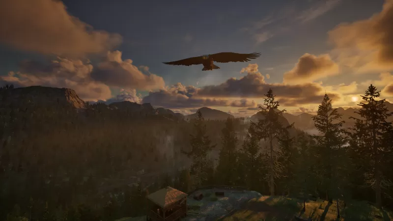 护林员之路：国家公园模拟器/Ranger’s Path: National Park Simulator-switch520