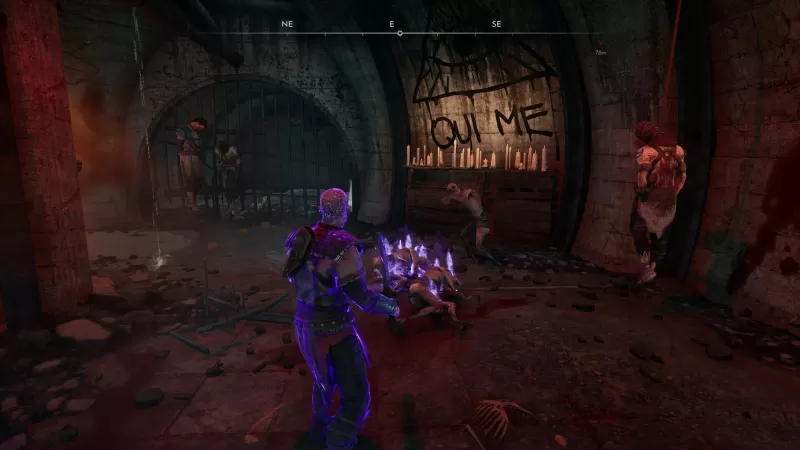 圣戮/Sancticide-switch520