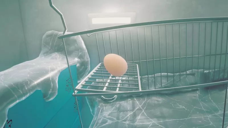 鸡蛋历险记/Egging On-switch游戏下载社区 鸡蛋历险记/Egging On-switch游戏下载社区
