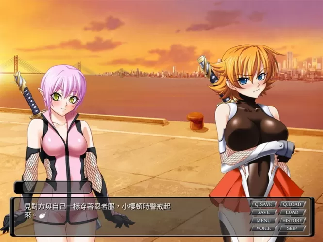 《对魔忍》系列作品《对魔忍阿莎姬 2》繁体中文版公开 与妹妹一同前往罪犯横行之地-switch游戏下载社区