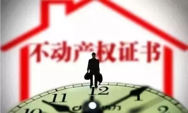 圈内人，一场关于归属与自由的数字迷宫-switch游戏下载社区