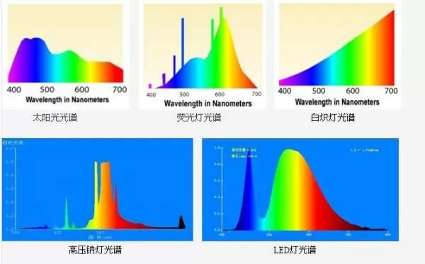 从开关到光谱，性取向流动性的再思考-switch游戏下载社区