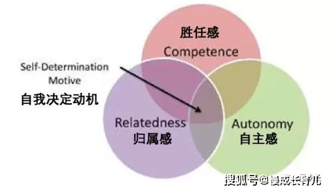 什么是Switch人格属性?在灵活多变中寻找自我的平衡点-switch游戏下载社区 什么是Switch人格属性?在灵活多变中寻找自我的平衡点-switch游戏下载社区