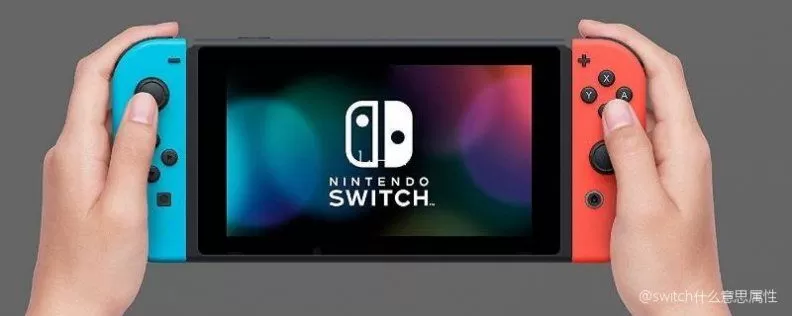 switch属性是什么意思？-switch游戏下载社区